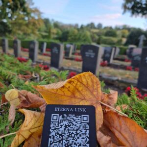 Eterna-link (Premium) — Najczęściej wybierany - obrazek 2