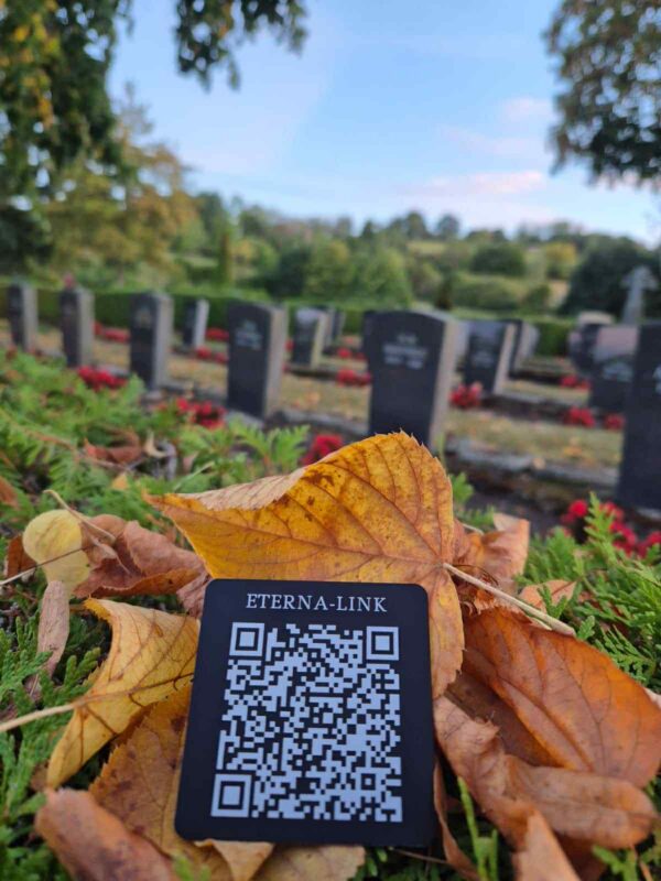 Eterna-link (Premium) — Najczęściej wybierany