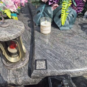 Eterna-link (Premium) — Najczęściej wybierany - obrazek 6