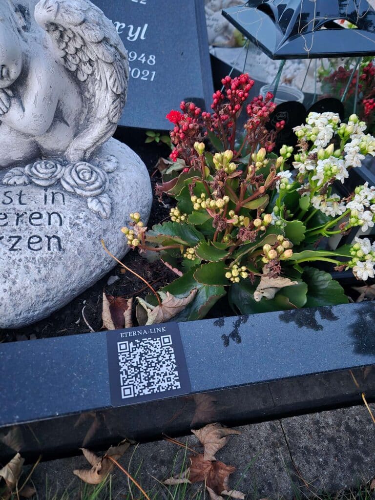 Eterna-link (Premium) — Najczęściej wybierany
